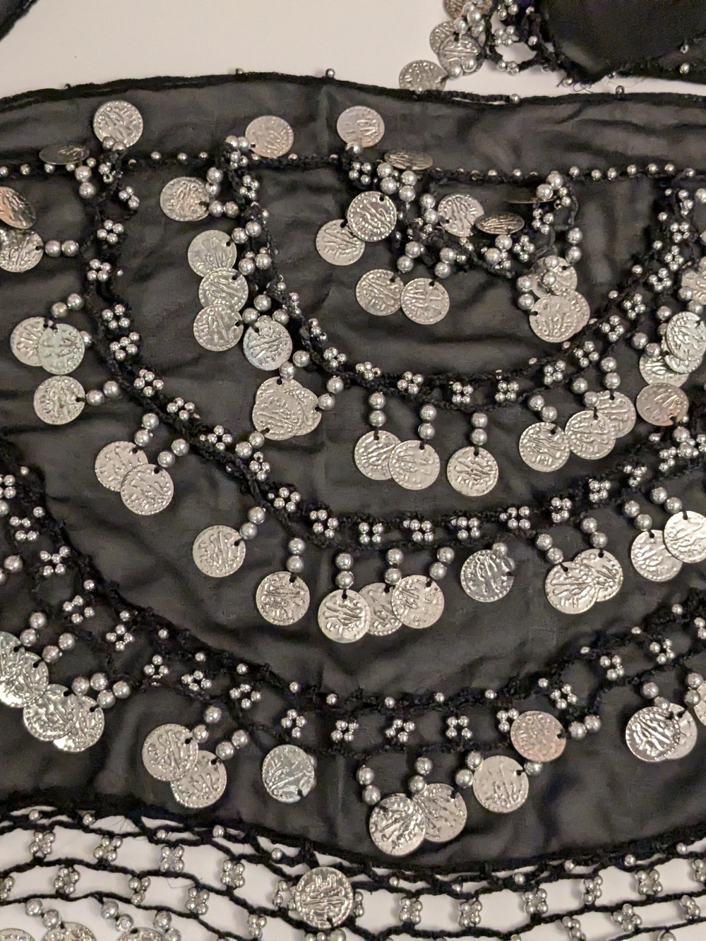 Silver Coin Fringe Belly Dance Skirt - Black and Silver